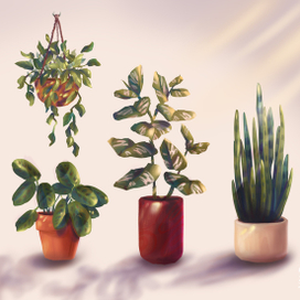 Скетчи растюх