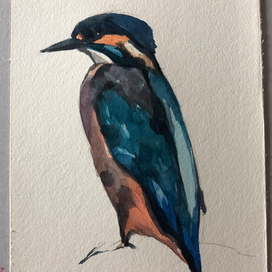 Свиристель 