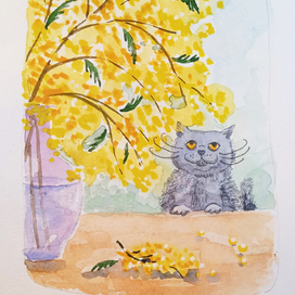 Скетч "Кошка и мимоза"