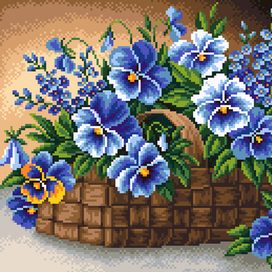 анютины глазки