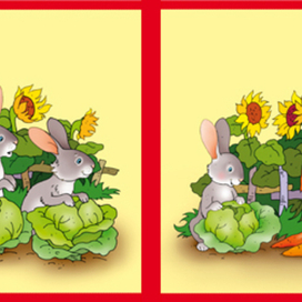 иллюстрация к книжке "КТО ЧТО ЕСТ"