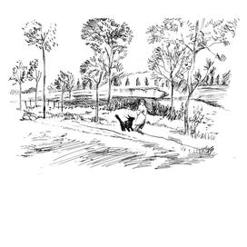 выход из ноября