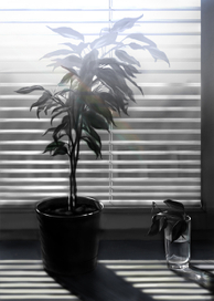 Натюрморт с фикусом 