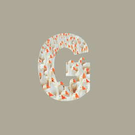 Гусиная буква «G»