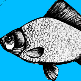 Поймай большую рыбу