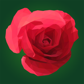 Красная роза