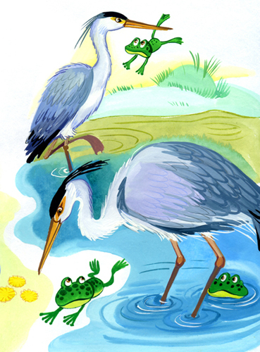 цапли и лягушки