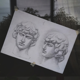 Гипсовая голова Антиноя