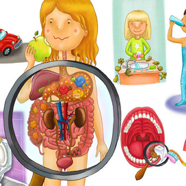 пищеварительная система