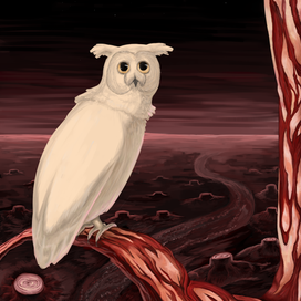 Dead Nature 