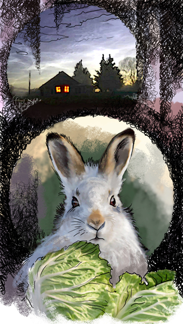 Книжная иллюстрация