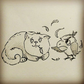 кот проказник