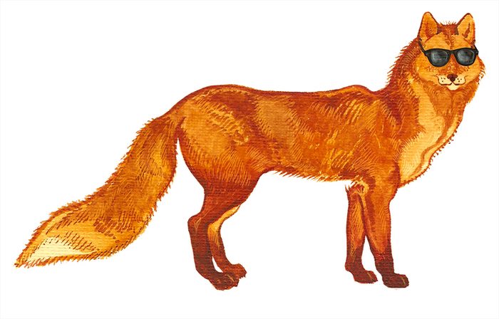 лис в очках