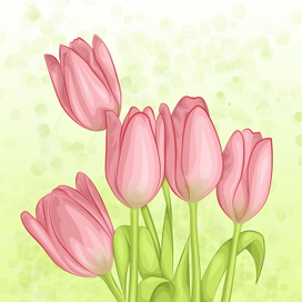 Тюльпаны