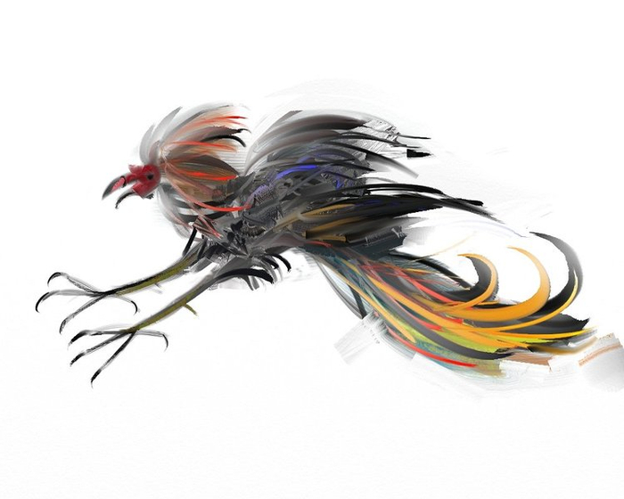 петух  бойцовый