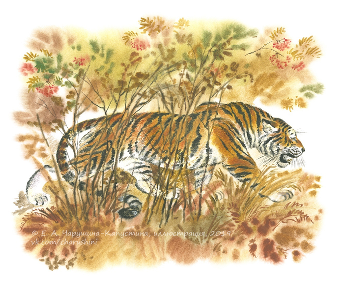 Иллюстрация к сборнику рассказов Геннадия Снегирёва "Ночные колокольчики"