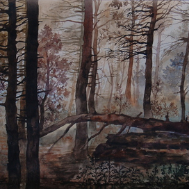 Лес у болота