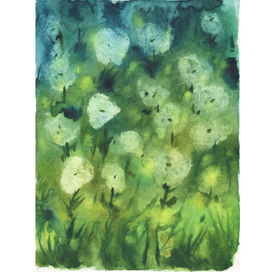 Одуванчики