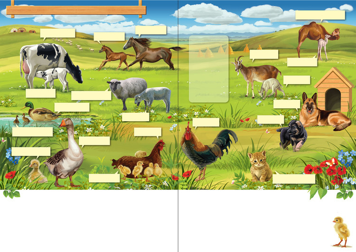 Мир который я люблю