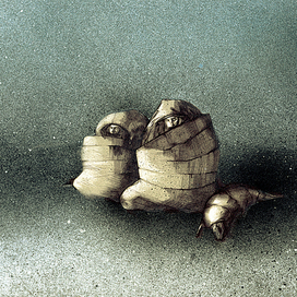 Земли нищих