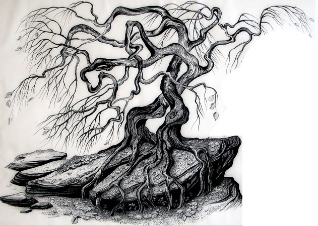 Жители гор. Иллюстрация из книги.