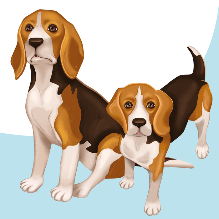 Иллюстрации для упаковки корма для собак