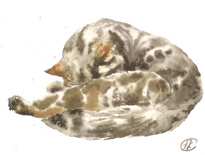 Мистер Дарси