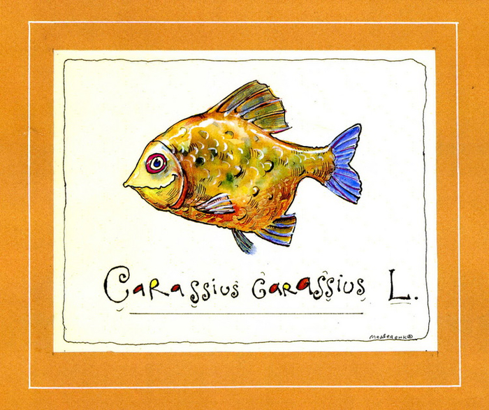 Карась речной