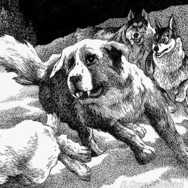 Погоня за зайцем