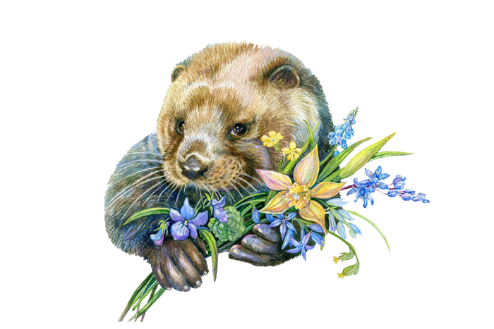 Выдрингтон