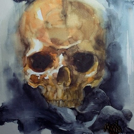 В погоне за золотыми рыбками