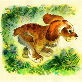 "Малыш" Е.Чарушин "Про Томку"