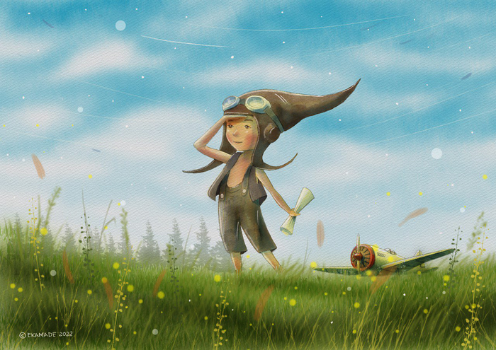 Лётчик для особых поручений