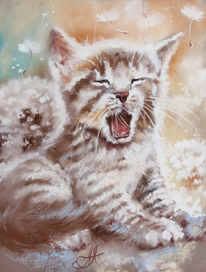 Весенний соня