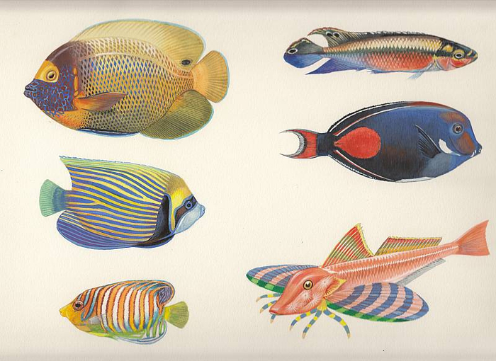 энциклопедия