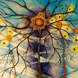 Остывшее Солнце