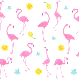 pink flamingo _02
