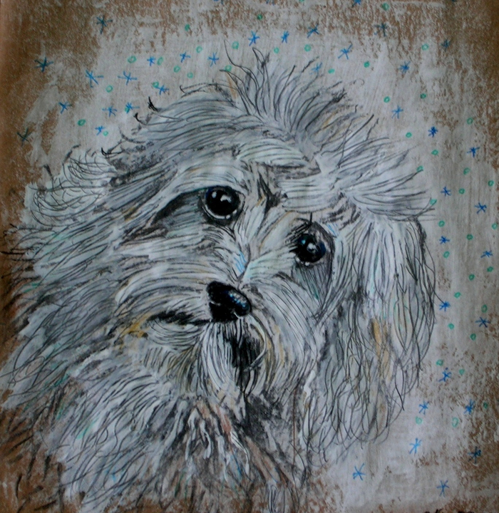 Собака бывает кусачей...