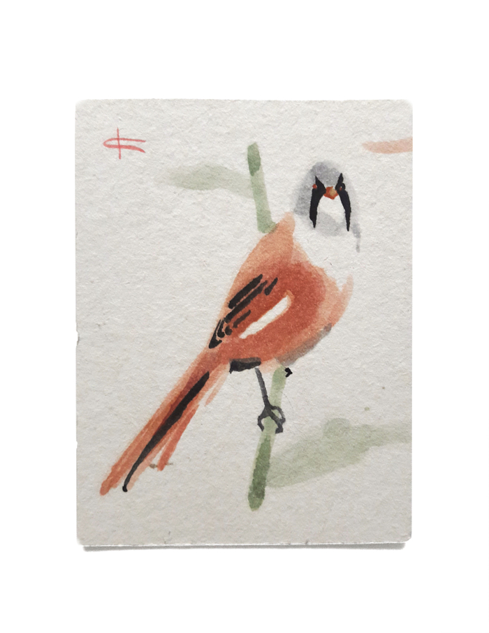 Усатая синица