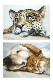 Рисунки по фото