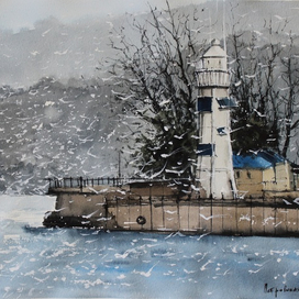 Белые птицы