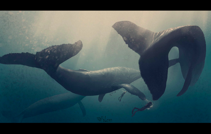 Экспедиция 2