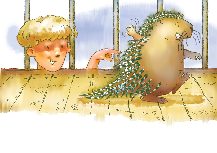 дикобраз, который никогда не видел дикобраза