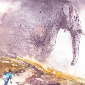 Бурная фантазия