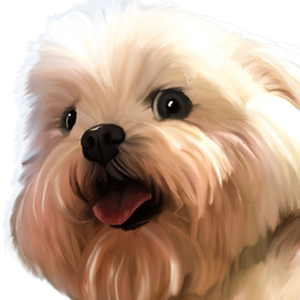 Рисунок собаки по вашей фотографии