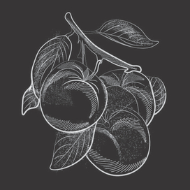 Иллюстрация в стиле Скетч