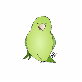 Веселый попугай