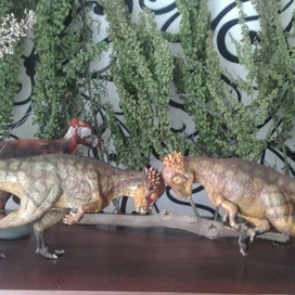 Пахицефалозавр