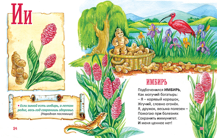 Иллюстрация к "Овощной азбуке" Людмилы Соломиной