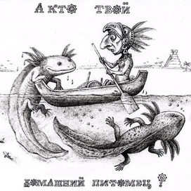 А кто твой питомец?